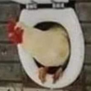 Meet your Posher, J.r.